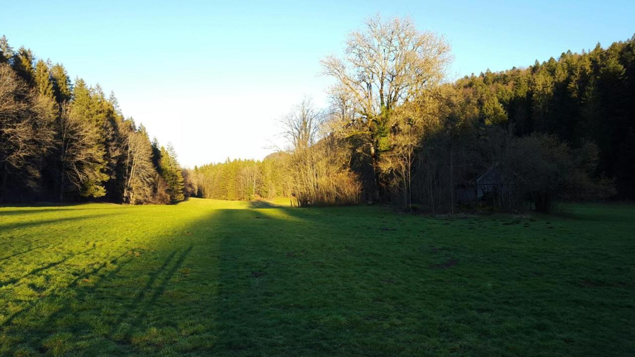 Aux Truites Bleues Hotel Fort-du-Plasne Kültér fotó